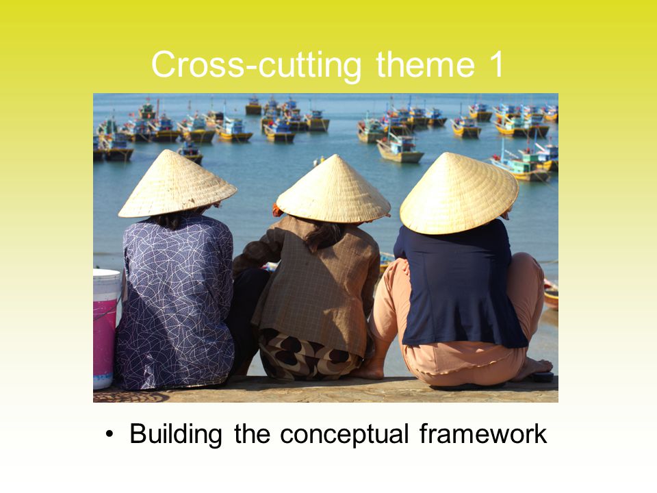 Cross-cutting theme 1 Building the conceptual framework