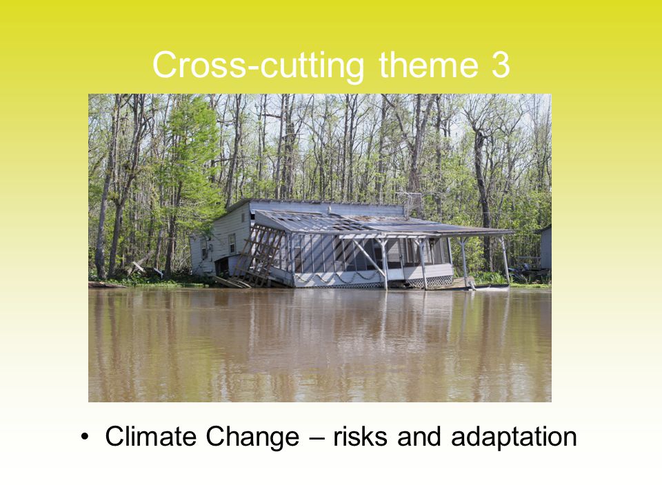 Cross-cutting theme 3 Climate Change – risks and adaptation