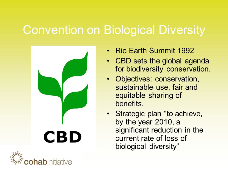 Convention on Biological Diversity Rio Earth Summit 1992 CBD sets the global agenda for biodiversity conservation.