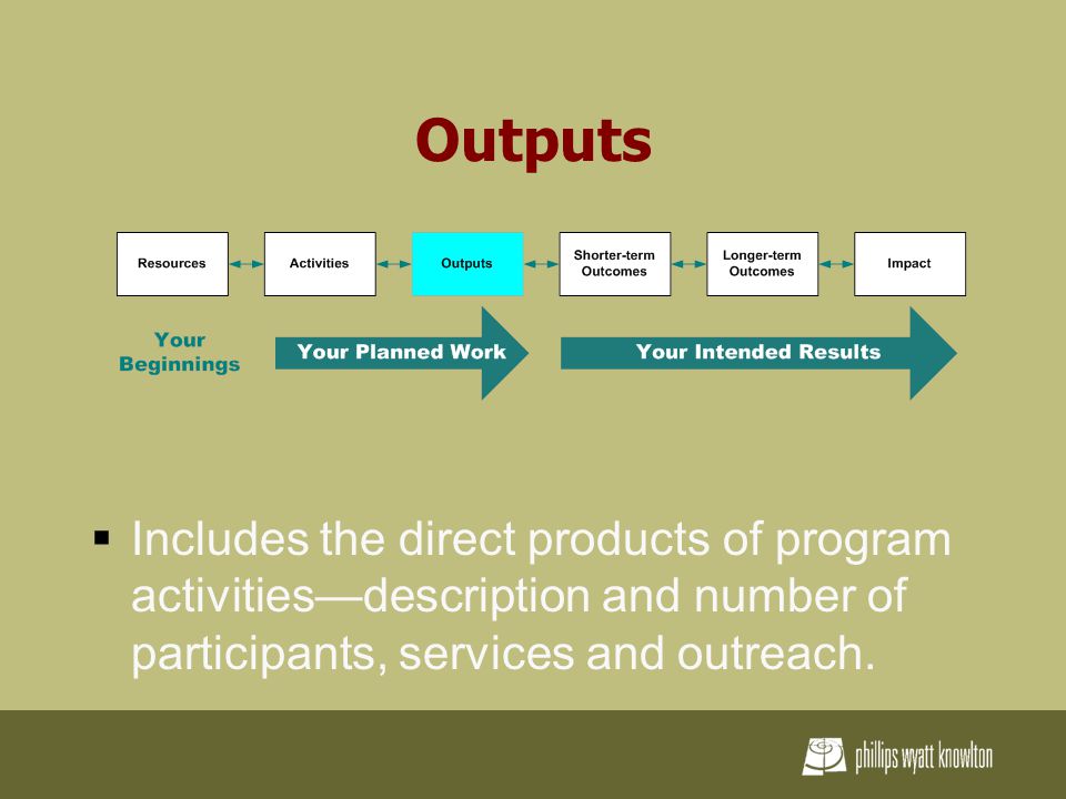 Outputs  Includes the direct products of program activities—description and number of participants, services and outreach.