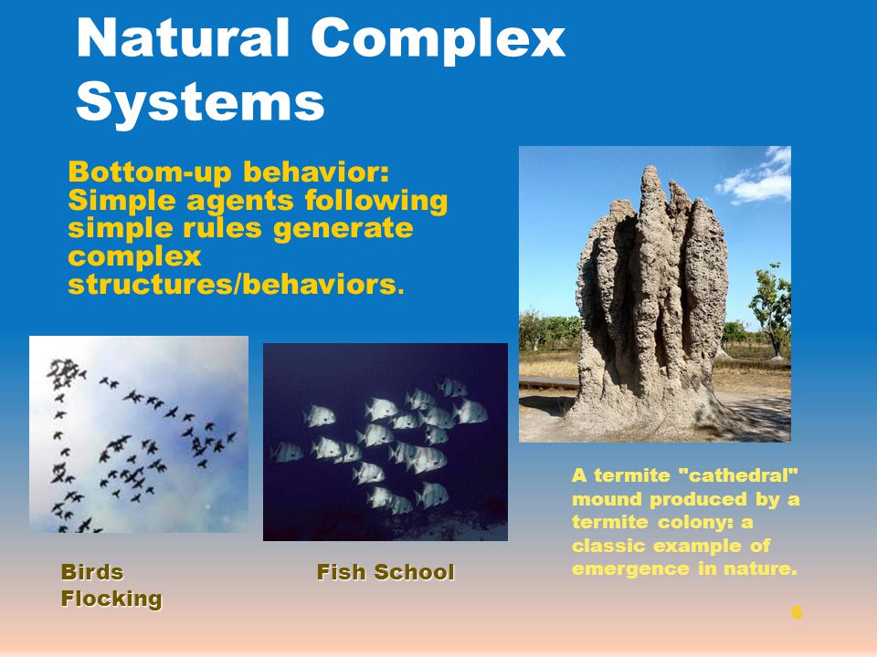 Complex Systems Engineering SwE 488 Complexity in Nature Prof. Dr. Mohamed  Batouche Department of Software Engineering CCIS – King Saud University  Riyadh, - ppt download