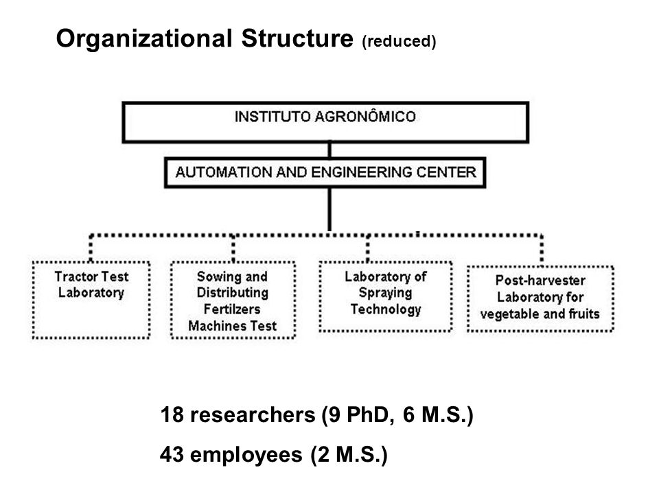 18 researchers (9 PhD, 6 M.S.) 43 employees (2 M.S.) Organizational Structure (reduced)