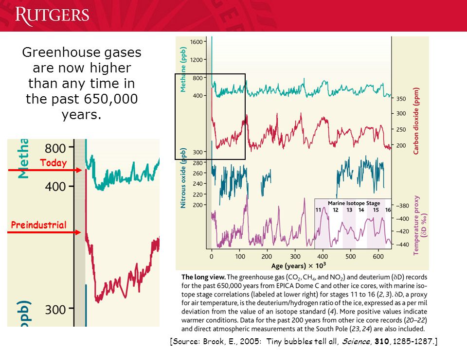 Preindustrial Today [Source: Brook, E., 2005: Tiny bubbles tell all, Science, 310, ] Greenhouse gases are now higher than any time in the past 650,000 years.