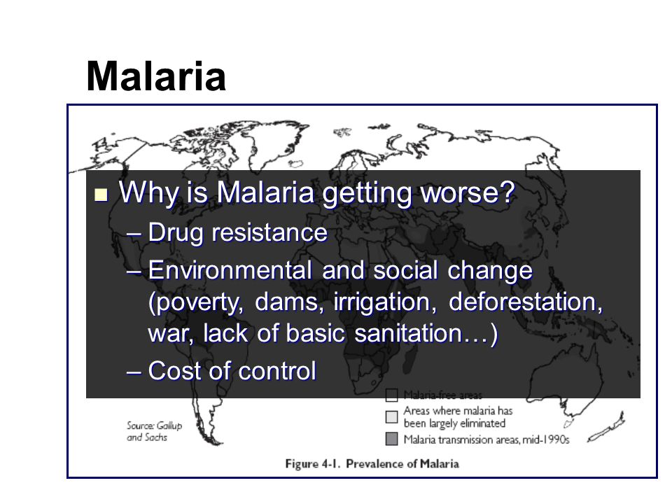 Malaria Why is Malaria getting worse. Why is Malaria getting worse.