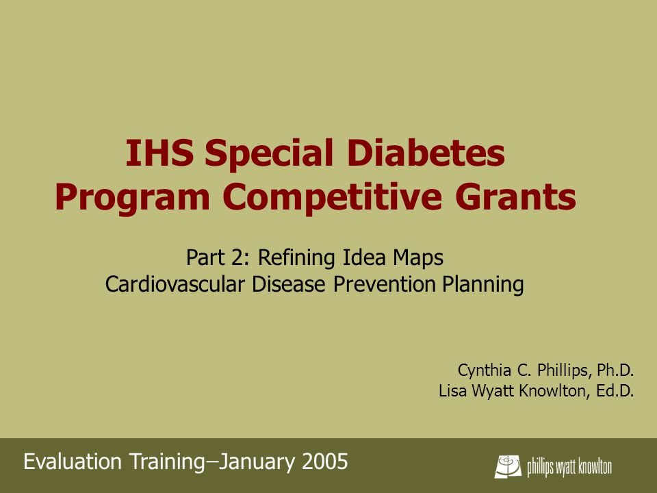 IHS Special Diabetes Program Competitive Grants Part 2: Refining Idea Maps Cardiovascular Disease Prevention Planning Cynthia C.