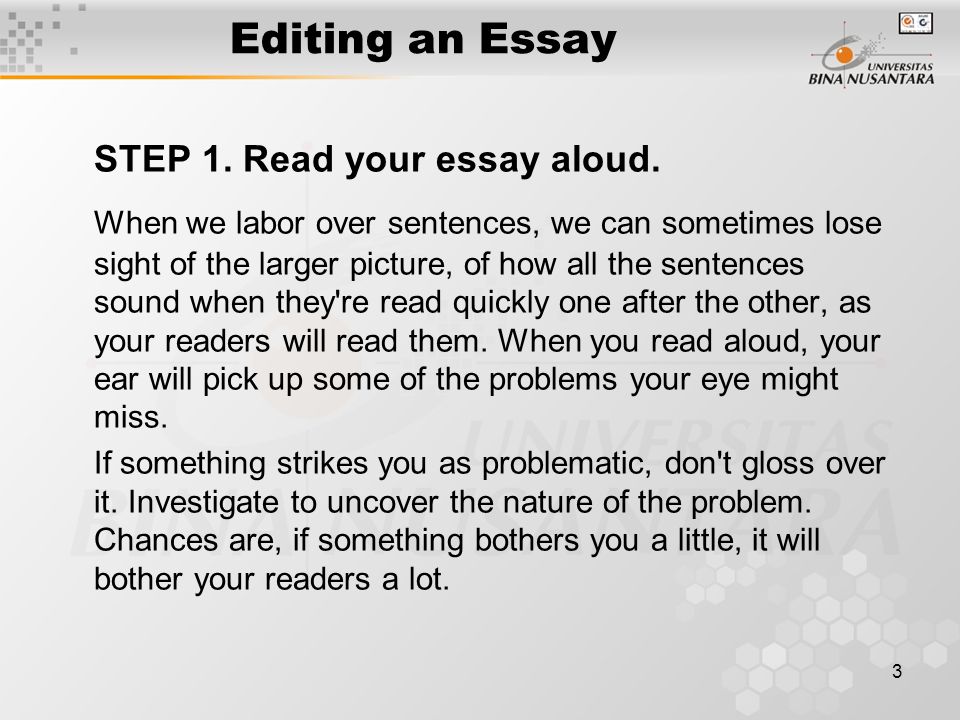 My Hobby English Essay Editing An Essay Step Read Your Essay Aloud Essay On The Yellow Wallpaper also Good English Essays Examples Module Review Matakuliah G Writing Iv Tahun Versi Descriptive Essay Topics For High School Students