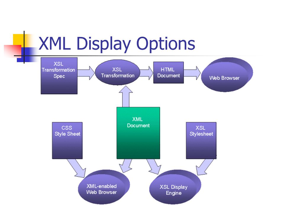 XML Display Options