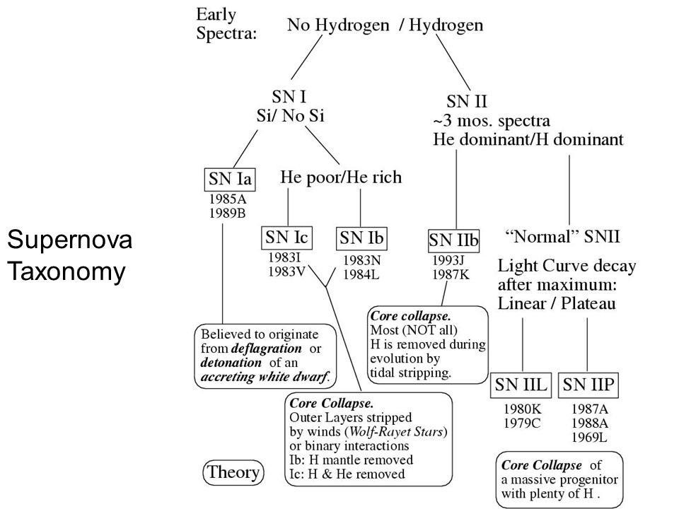 Supernova Taxonomy