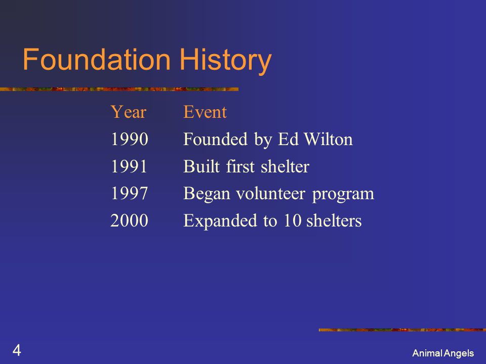 Animal Angels 4 Foundation History Year Event Founded by Ed Wilton Built first shelter Began volunteer program Expanded to 10 shelters