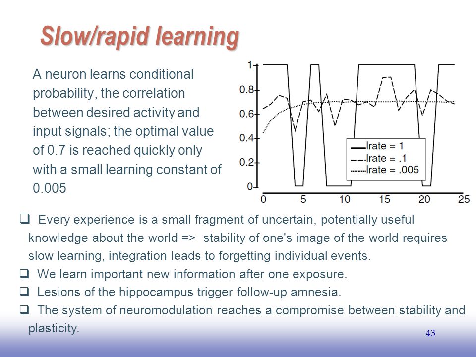 EE Slow/rapid learning A neuron learns conditional probability, the correlation between desired activity and input signals; the optimal value of 0.7 is reached quickly only with a small learning constant of  Every experience is a small fragment of uncertain, potentially useful knowledge about the world => stability of one s image of the world requires slow learning, integration leads to forgetting individual events.