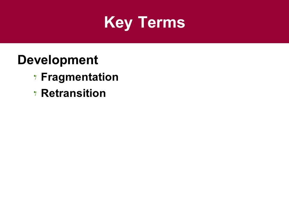 Key Terms Development Fragmentation Retransition