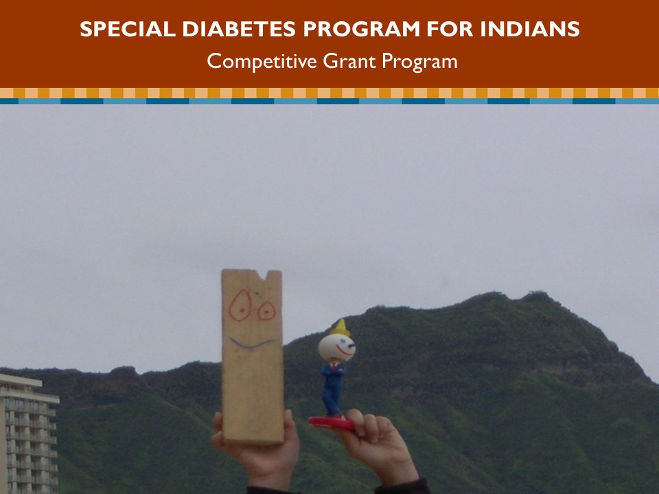 SPECIAL DIABETES PROGRAM FOR INDIANS Competitive Grant Program