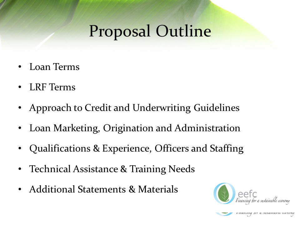 Proposal Outline Loan Terms LRF Terms Approach to Credit and Underwriting Guidelines Loan Marketing, Origination and Administration Qualifications & Experience, Officers and Staffing Technical Assistance & Training Needs Additional Statements & Materials