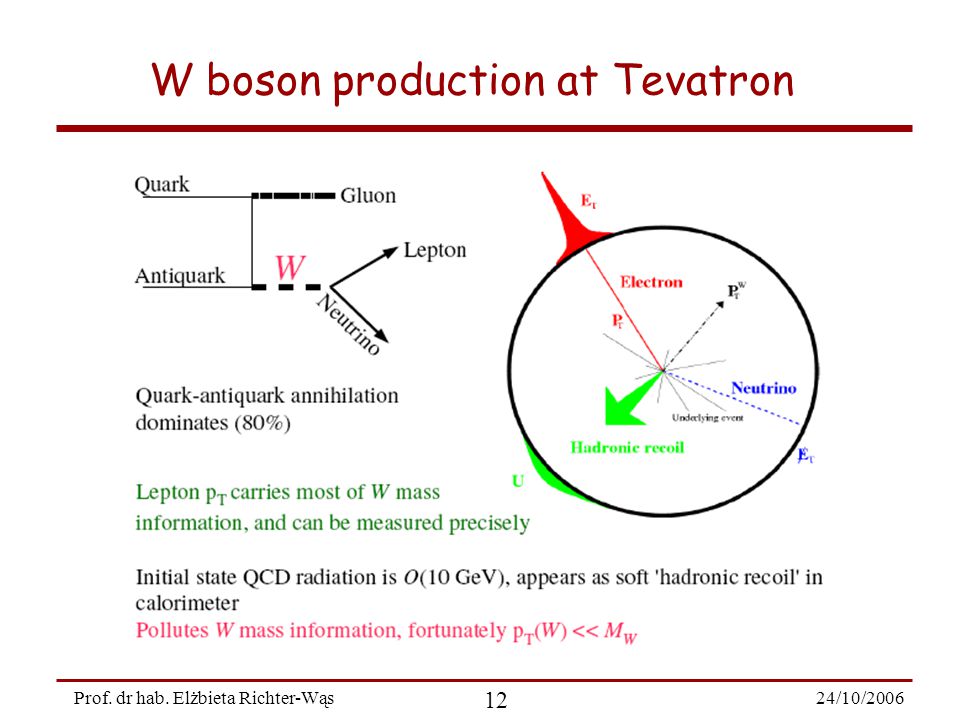 24/10/ Prof. dr hab. Elżbieta Richter-Wąs W boson production at Tevatron