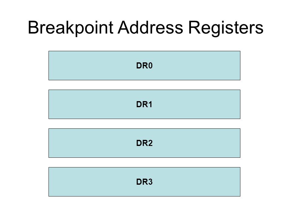 Breakpoint Address Registers DR0 DR1 DR2 DR3