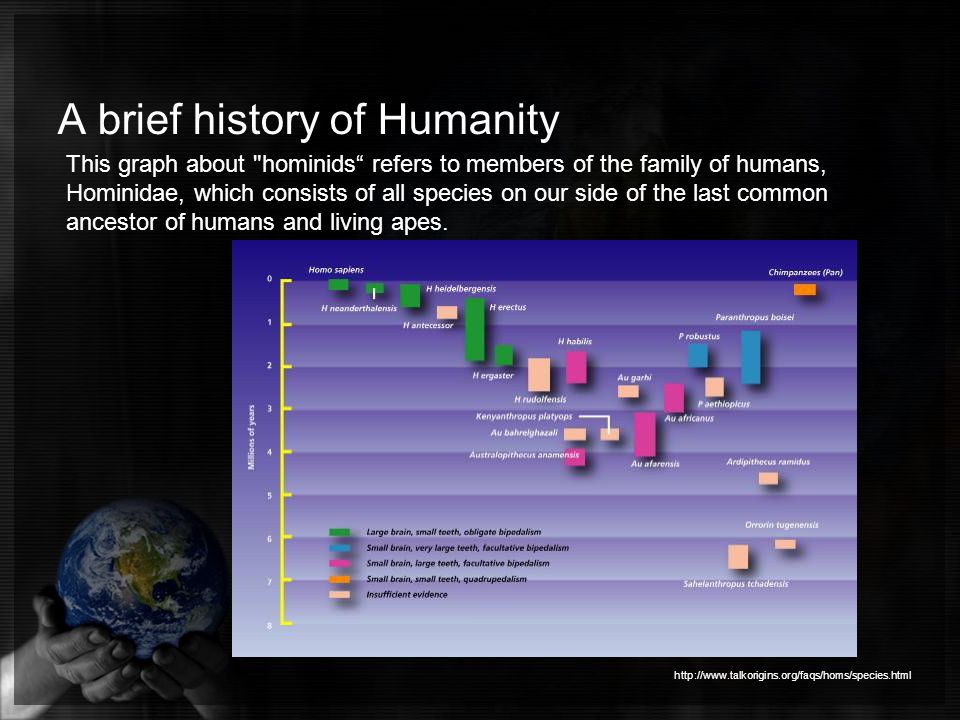 A brief history of Humanity   This graph about hominids refers to members of the family of humans, Hominidae, which consists of all species on our side of the last common ancestor of humans and living apes.