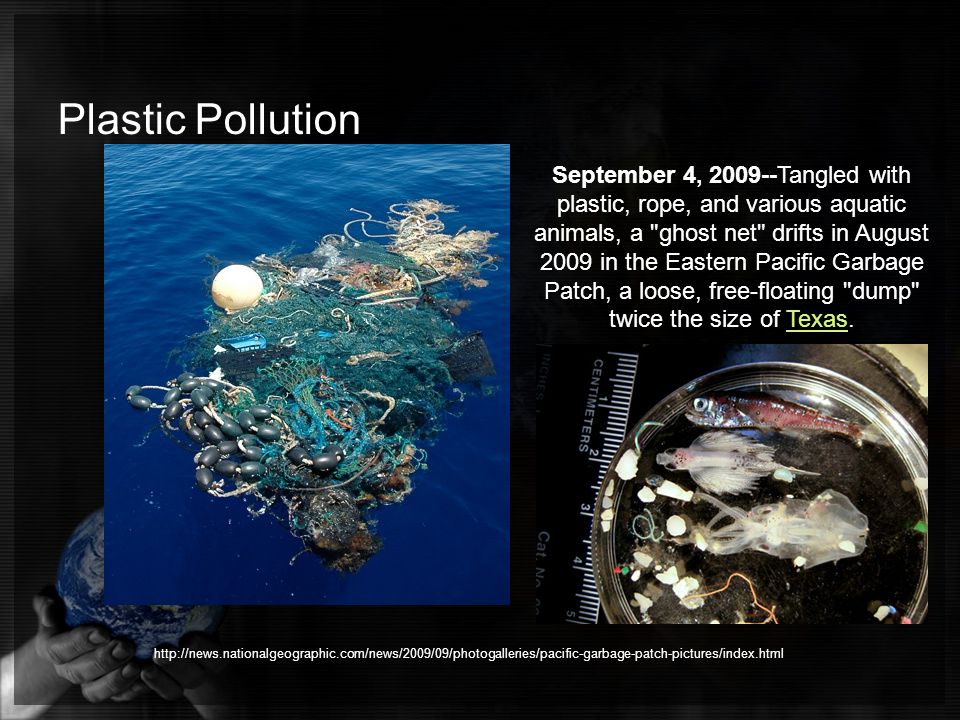 Plastic Pollution September 4, Tangled with plastic, rope, and various aquatic animals, a ghost net drifts in August 2009 in the Eastern Pacific Garbage Patch, a loose, free-floating dump twice the size of Texas.Texas