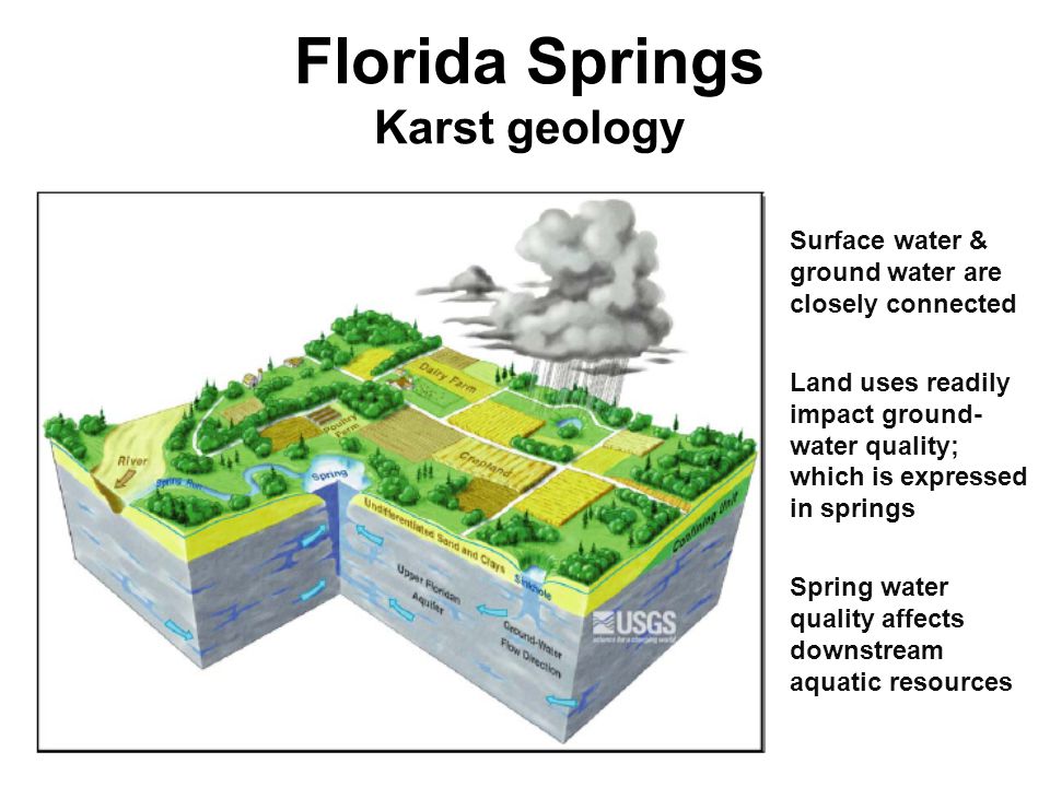 Florida Springs Karst geology Surface water & ground water are closely connected Land uses readily impact ground- water quality; which is expressed in springs Spring water quality affects downstream aquatic resources