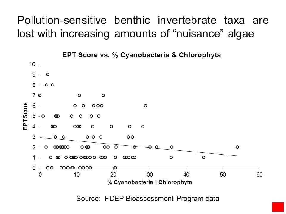 Pollution-sensitive benthic invertebrate taxa are lost with increasing amounts of nuisance algae Source: FDEP Bioassessment Program data