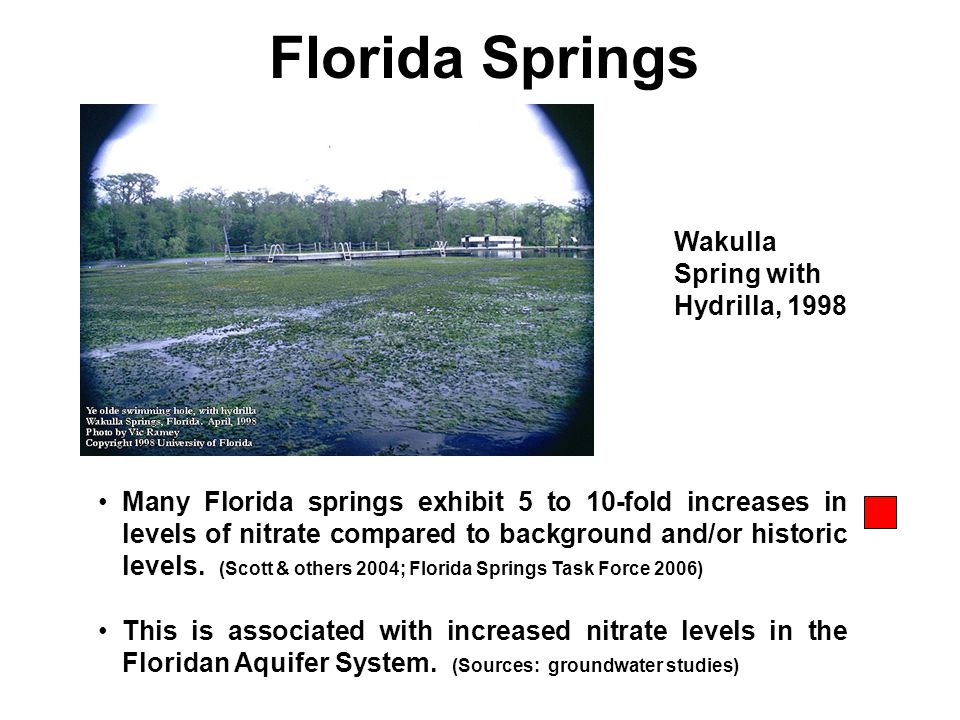 Florida Springs Many Florida springs exhibit 5 to 10-fold increases in levels of nitrate compared to background and/or historic levels.