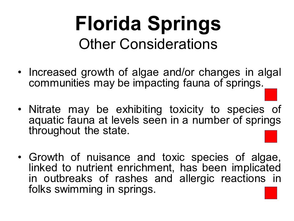 Florida Springs Other Considerations Increased growth of algae and/or changes in algal communities may be impacting fauna of springs.