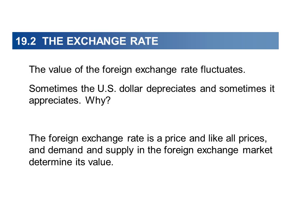 19.2 THE EXCHANGE RATE The value of the foreign exchange rate fluctuates.