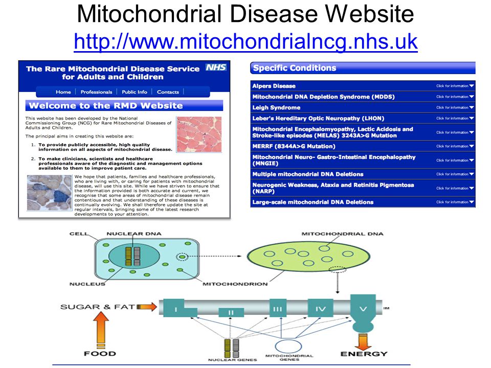 Mitochondrial Disease Website