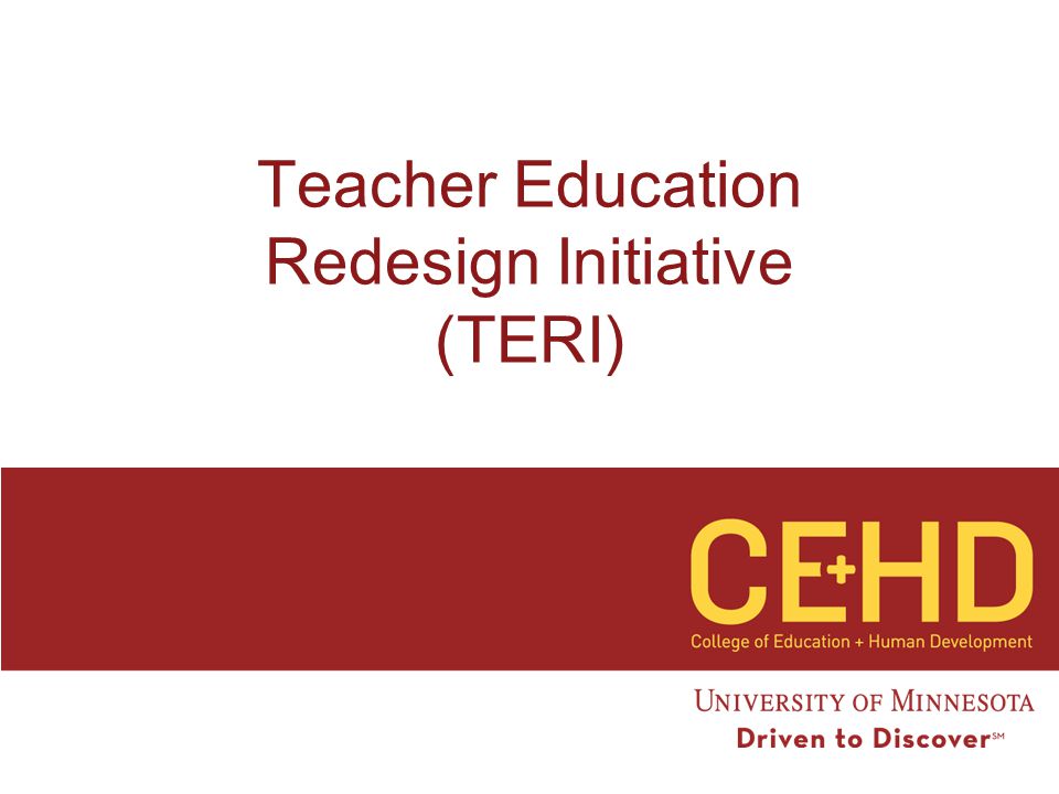 Teacher Education Redesign Initiative (TERI)