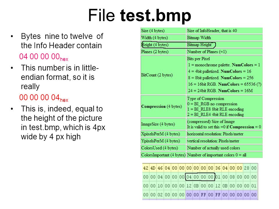 Тест файлов c. Структура bmp файла в hex. Размер файла в hex. Bmp 16 бит.