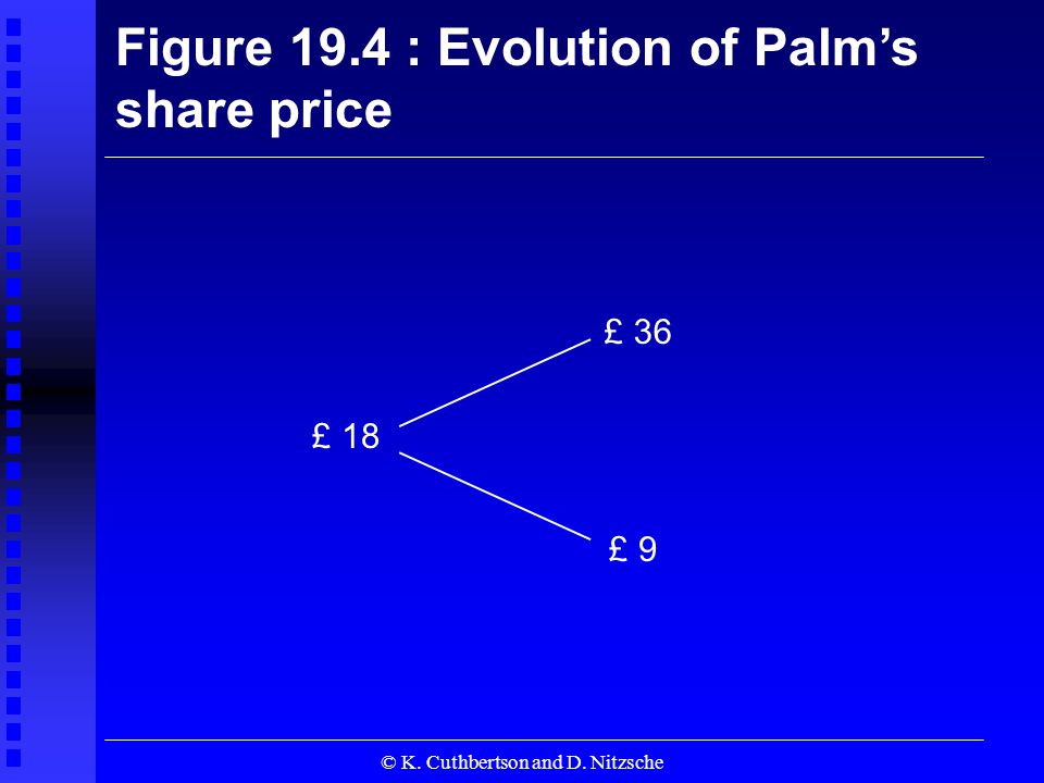 © K. Cuthbertson and D. Nitzsche Figure 19.4 : Evolution of Palm’s share price £ 18 £ 36 £ 9