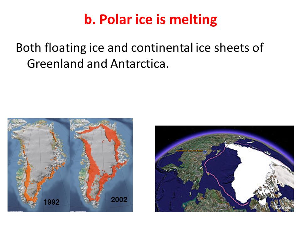 b. Polar ice is melting Both floating ice and continental ice sheets of Greenland and Antarctica.