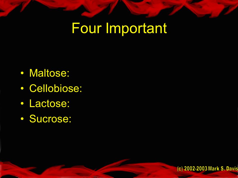 Four Important Maltose: Cellobiose: Lactose: Sucrose: