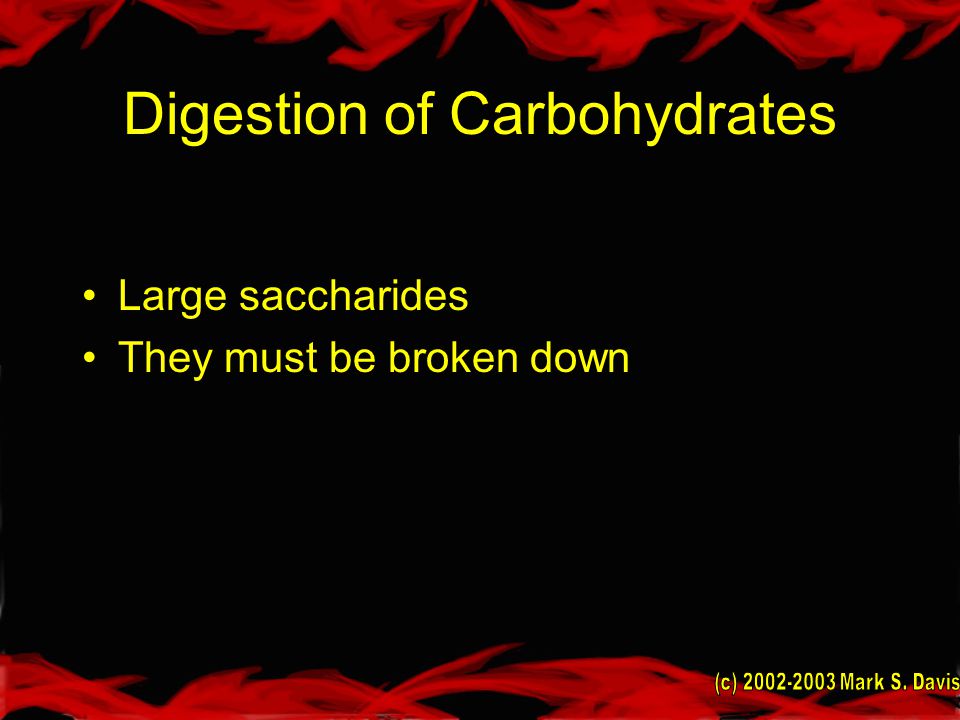 Digestion of Carbohydrates Large saccharides They must be broken down