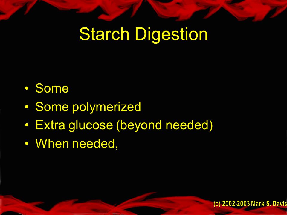 Starch Digestion Some Some polymerized Extra glucose (beyond needed) When needed,