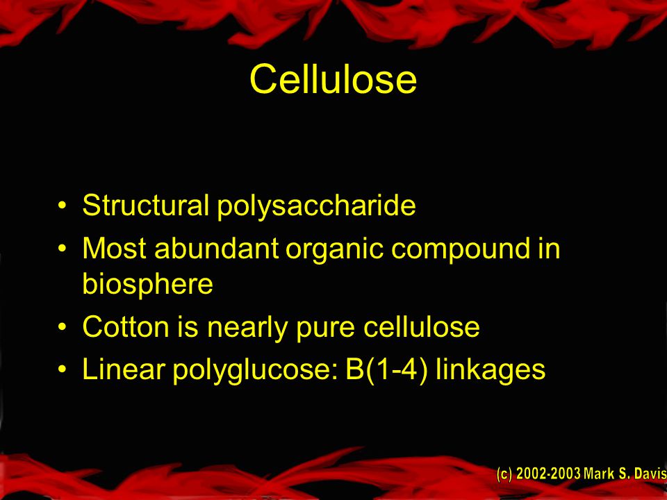 Cellulose Structural polysaccharide Most abundant organic compound in biosphere Cotton is nearly pure cellulose Linear polyglucose: B(1-4) linkages