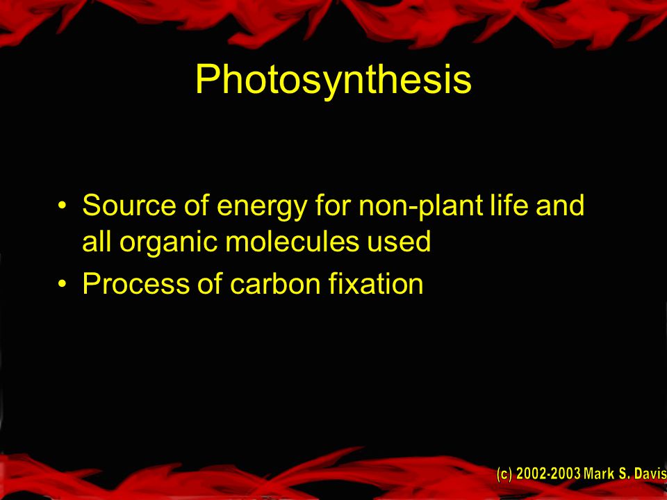 Photosynthesis Source of energy for non-plant life and all organic molecules used Process of carbon fixation