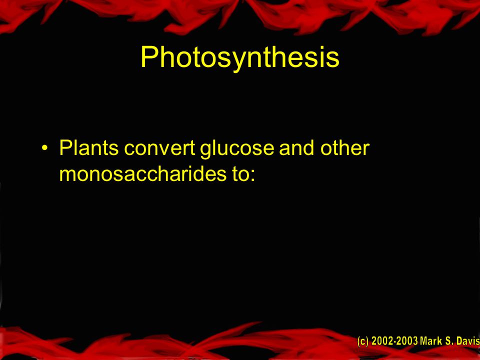 Photosynthesis Plants convert glucose and other monosaccharides to: