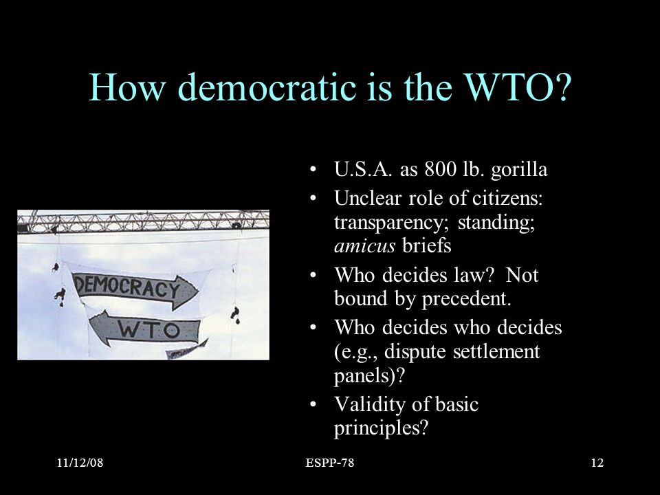11/12/08ESPP-7812 How democratic is the WTO. U.S.A.