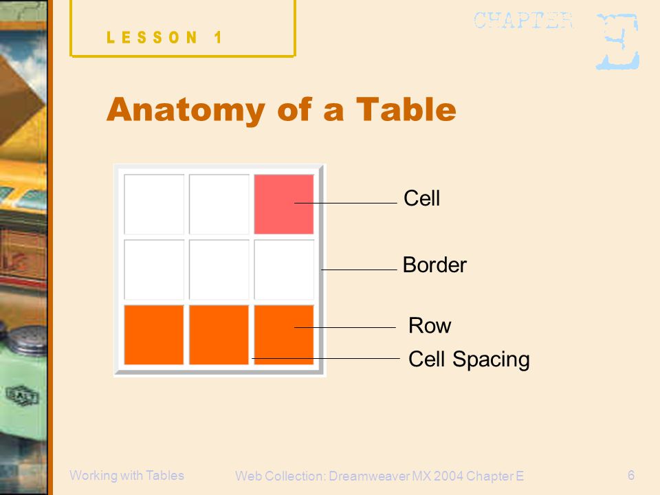 Web Collection: Dreamweaver MX 2004 Chapter E 6Working with Tables Anatomy of a Table Cell Border Row Cell Spacing