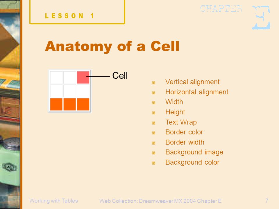 Web Collection: Dreamweaver MX 2004 Chapter E 7Working with Tables Anatomy of a Cell Cell Vertical alignment Horizontal alignment Width Height Text Wrap Border color Border width Background image Background color