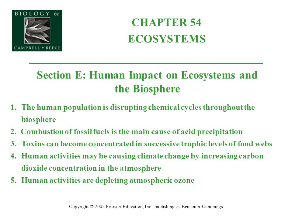 CHAPTER 54 ECOSYSTEMS Copyright © 2002 Pearson Education, Inc., publishing as Benjamin Cummings Section E: Human Impact on Ecosystems and the Biosphere 1.The human population is disrupting chemical cycles throughout the biosphere 2.