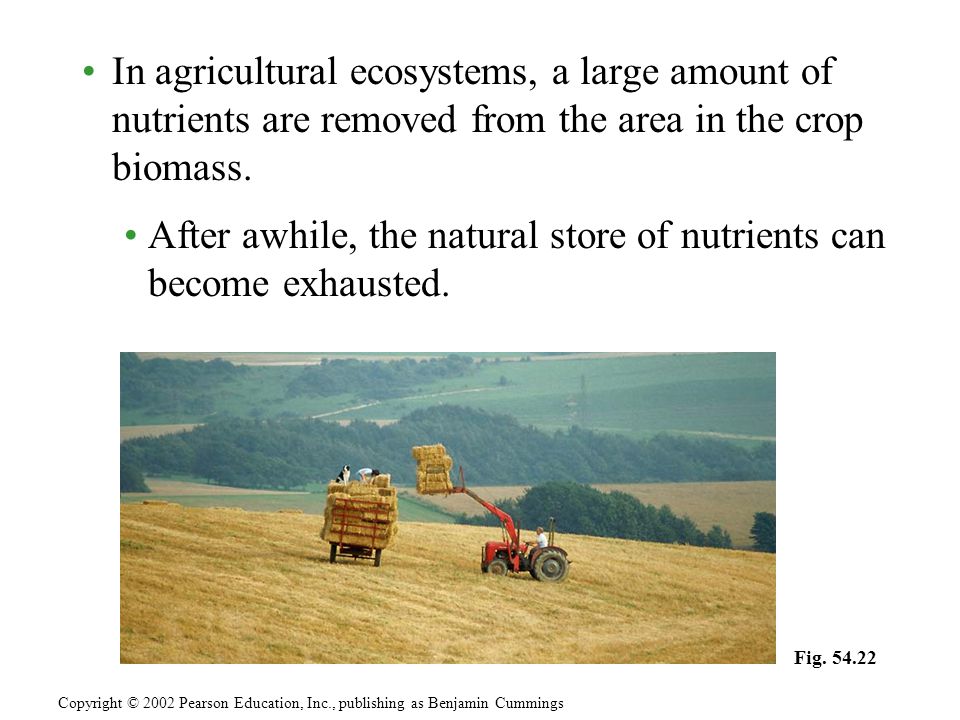  n agricultural ecosystems, a large amount of nutrients are removed from the area in the crop biomass.