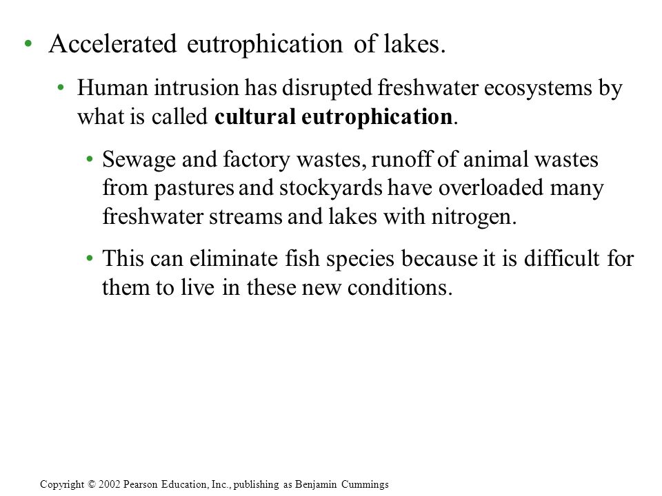 Accelerated eutrophication of lakes.