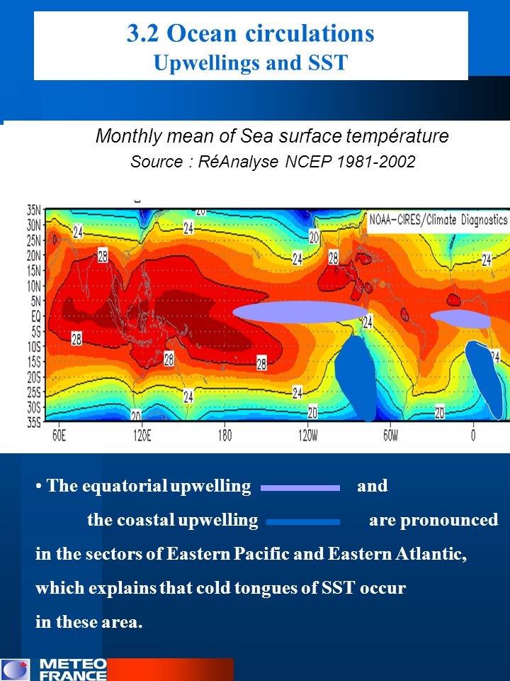 The equatorial upwelling and the coastal upwelling are pronounced in the sectors of Eastern Pacific and Eastern Atlantic, which explains that cold tongues of SST occur in these area.