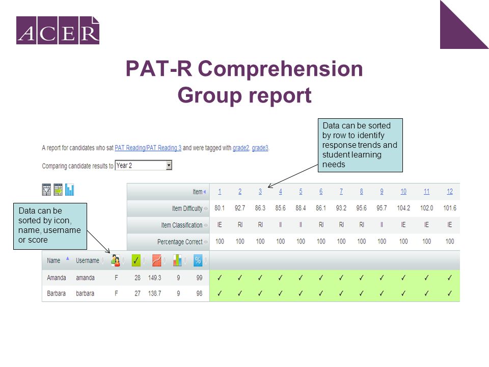 PAT-R Comprehension Group report Data can be sorted by icon, name, username or score Data can be sorted by row to identify response trends and student learning needs