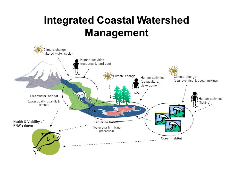 Human activities (fishing) Freshwater habitat (water quality, quantity & timing) Estuarine habitat (water quality, mixing processes) Ocean habitat Climate change (altered water cycle) Human activities (resource & land use) Human activities (aquaculture, development) Climate change (sea level rise & ocean mixing) Health & Viability of PNW salmon Climate change Integrated Coastal Watershed Management