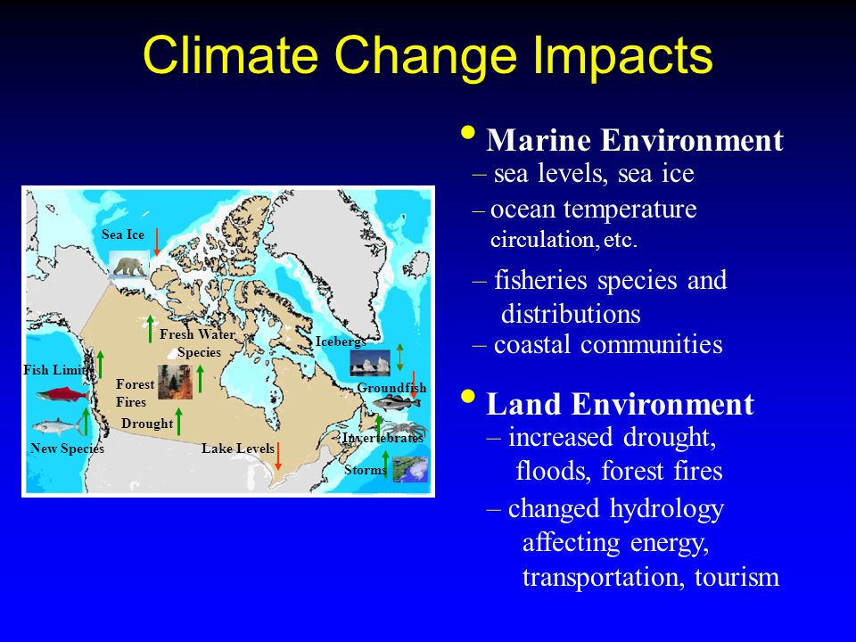 Climate Change Impacts Fresh Water Species Sea Ice Forest Fires Lake Levels Drought Fish Limit New Species Storms Invertebrates Groundfish Icebergs – sea levels, sea ice – ocean temperature circulation, etc.