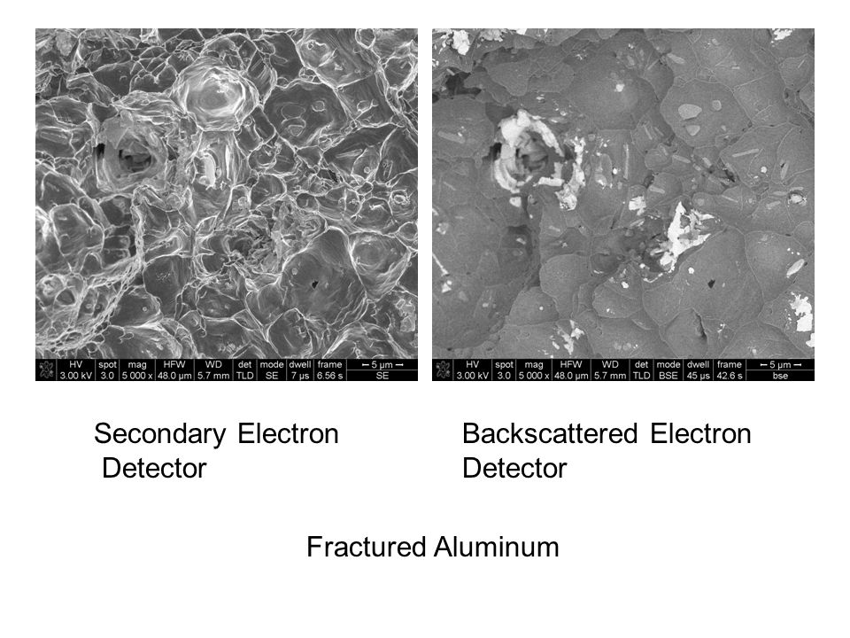 Secondary Electron Detector Backscattered Electron Detector Fractured Aluminum