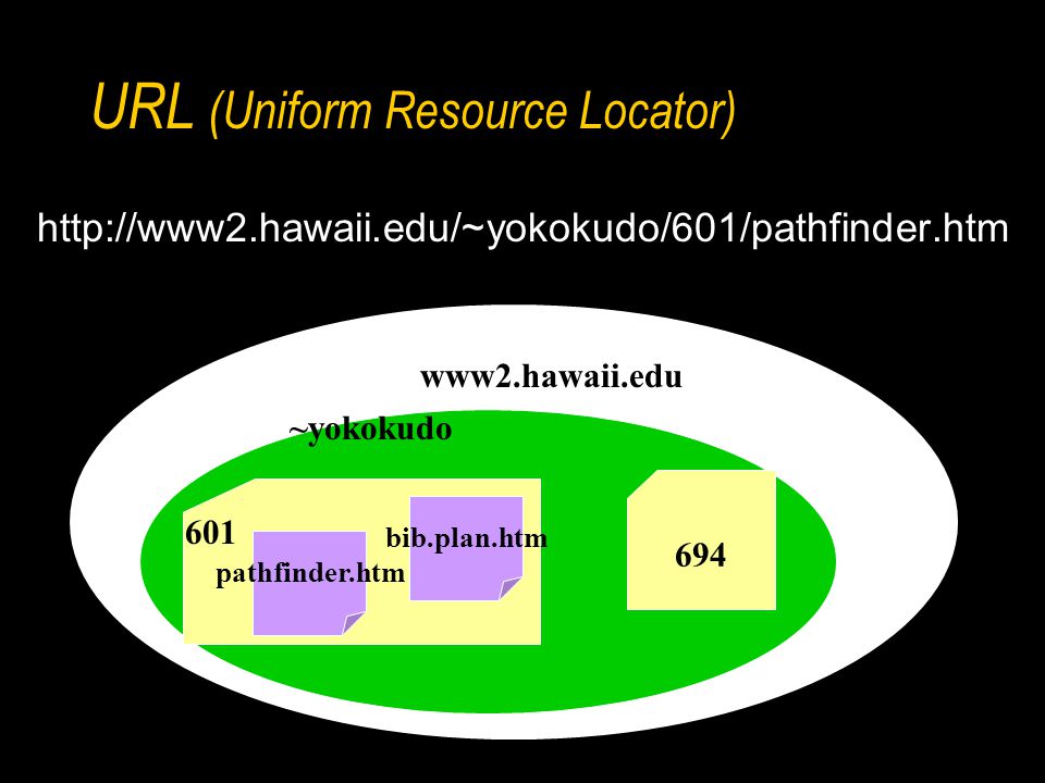 URL (Uniform Resource Locator)   www2.hawaii.edu ~yokokudo 601 pathfinder.htm bib.plan.htm 694