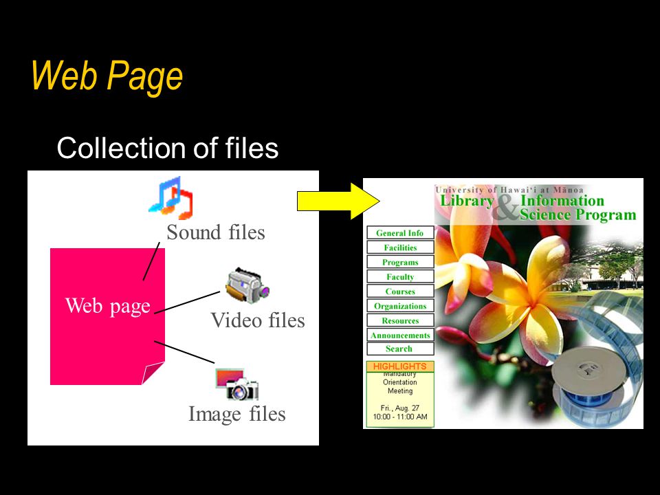 Web Page Collection of files Web page Sound files Video files Image files